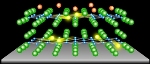 Atomically Thin, High-Temperature Superconductor Film with Superconducting Transition Temperature up to 60K