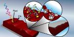 Surface Modification of Semiconductor Photoelectrodes: A New Perspective