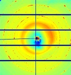 DESY's X-ray Light Source Enables Nanoscale Monitoring of Chemical Processes during Photographic Exposure