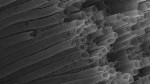 Titanium Wire Based Titania Nanotubes Provide Comparable Efficacy for Enrichment of Phosphopeptides