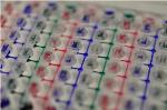 Body-on-a-Chip Multi-Tissue Device Mimics Real-Life Conditions for Drugs Testing