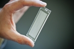 Microfluidic Device to Isolate Individual Rare Cells