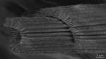 Stretchable, Transparent Conductors with Nano-Accordion Design for Flexible Electronics Applications