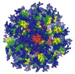 Experimental Vaccine Candidate eOD-GT8 60mer Could Stimulate Immune System Activity and Stop HIV Infection