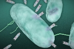 Research on New Means to Kill Harmful Bacteria Published in Nano Letters