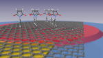 Graphene Holds Promise as Sensitive Detector for Biological Molecules