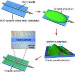 Simple Solution Processing Method for Growth of Well-Aligned Single-Crystals of Organic Semiconductors