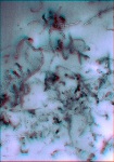 NIST Launches New nano-EHS Protocol Website