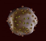 Tiny Gel Particles Attached with Nanobodies Perform the Functions of Platelets