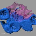 Stem Cells Communicate with Neighboring Cells Using Threadlike Nanotubes