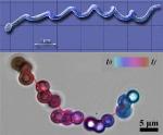 Magnetic, Nanoscale Robotic Beads Target Blocked Arteries