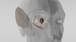 Implantable Microfluid System Can Efficiently, Durably Stabilize Intraocular Pressure