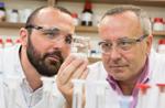 Pyrolyzing Buckyballs May Help Them Confine Greenhouse Gases