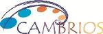 Crystalsol Successfully Develops Fully Printed Flexible Solar Cells Using Cambrios Silver Nanowires