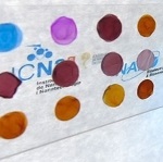 Researchers Develop Nanopaper-based Optical Sensing Platform