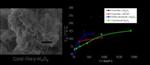 Coral-Like Nanoplates Help Remove Toxic Heavy Metals from Water