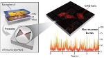 LMIS-1 Paper by Vl Flauraud on Novel Nanophotonic Antennas for Bio Cell Imaging Features on Biophysical Magazine