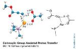 Acetic Acid Molecule Serves as Proton Shuttle in Gold Chemistry