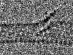 High-Resolution Transmission Electron Microscopy Helps Visualize Organic Molecular Interaction at the Atomic Level