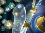 Lab on a Chip Acoustofluidic Sputum Liquefaction Device for Safe Asthma and Tuberculosis Diagnostics