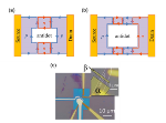 Graphene, the Wonder Material Exhibits Parity Effect