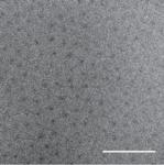 Packaging Cancer Drug into Nanoparticles Double’s Tumor Destroying Efficacy