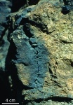 Extremely High-Resolution Microscopy Reveals Effect of Lightning on Rock's Crystal Structure