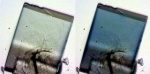 Researchers Study Why Metal-Organic Frameworks Lose Sponging Capabilities over Time