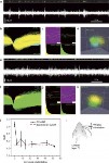 Nanofabrication Techniques Could Help Develop Brain-Friendly Interfaces