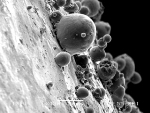 Quaker Chemical Uses SEM/EDS Technology to Understand Corrosion Phenomena