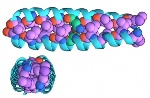 Researchers Apply Nanopore Gene Sequencing to Proteins