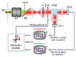 Single Photons Capable of Decision Making in Uncertain, Dynamically Changing Environments