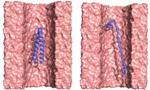 New Nanoscopic Pore Method to Investigate Protein Structure