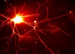 Researchers Create Linkages of Polymer Nanotubes That Resemble Nerve Structure