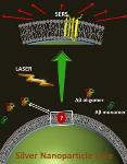 Laser Light and Fat-Coated Silver Nano-Particles Reveal Elusive Toxic Form of Alzheimer's Molecule