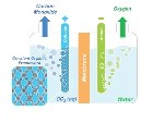 Researchers Incorporate Molecules of Carbon Dioxide Reduction Catalysts into Sponge-Like Covalent Organic Framework Crystals