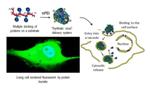 Nanoparticle Chemical Viruses Deliver Drugs to Cells