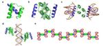 Caltech Team Successfully Creates Co-assembled Protein-DNA Nanowires