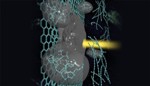 Computer Simulations Indicate Possible Mechanism for Carbyne Fiber Synthesis
