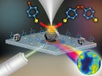 Tip-Enhanced Raman Spectroscopy Enables Nanoscale Mapping of Catalytic Reactions