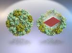 Self-Assembled DNA Nanostructures Could be Used as Smart Drug-Delivery Vehicles