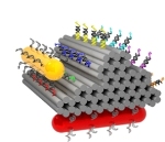 Researchers Develop Nanowalker that Moves Across Carpet of DNA Strands