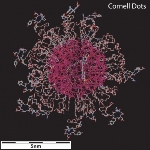 Cornell University and MSKCC Open New Center of Cancer Nanotechnology Excellence