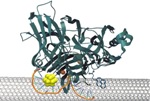 Researchers Synthesize DNA-Templated Gold Nanocluster for Efficient Biofuel Cell Design