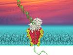 Single-Molecule Picometer-Resolution Nanopore Tweezers to Study DNA-Enzymatic Protein Interactions
