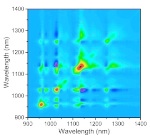 Rice University Develops Powerful Method to Analyze Carbon Nanotubes in Solution