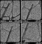 Electron Tomography Enables Real Time Visualization of Chemical Reactions in 3D with Sub-Nanometre Precision