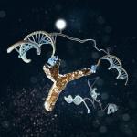 Nanoscale DNA Machine Could Detect HIV Diagnostic Antibodies