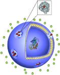 Researchers Develop Controllable Protein Gates for Artificial Nanovesicles