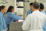 NCI Awards Five-Year, $1.8 Million Training Grant for Nanotechnology to Treat Cancer